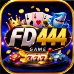 FD444 Game